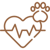 heart-rate