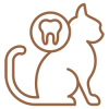 pet-dental